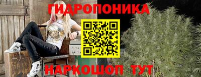 бошки Новокубанск